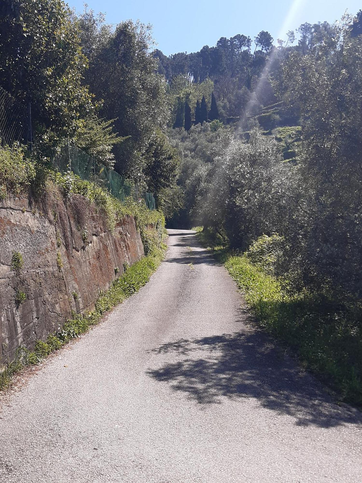 Belvedere 10 Pietrasanta Eksteriør billede