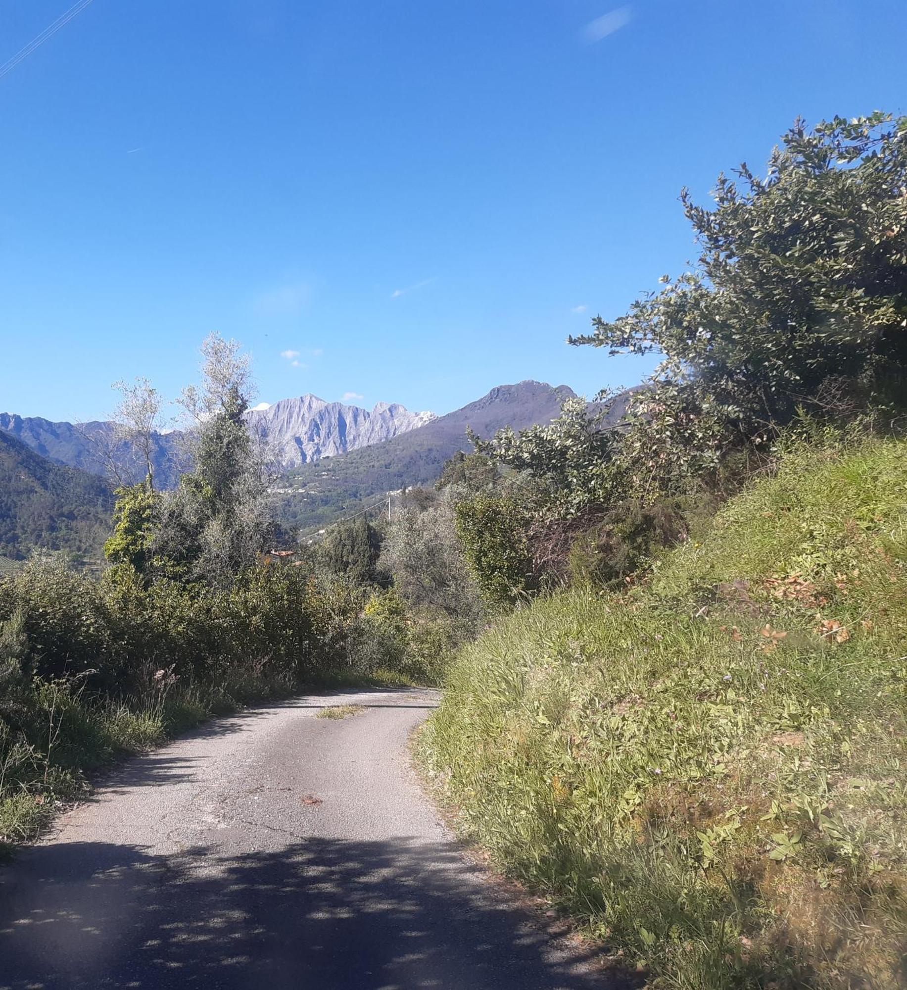 Belvedere 10 Pietrasanta Eksteriør billede